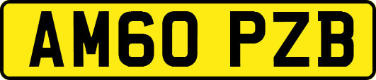 AM60PZB