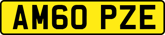 AM60PZE