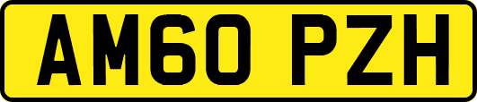 AM60PZH