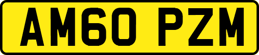 AM60PZM