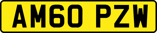 AM60PZW