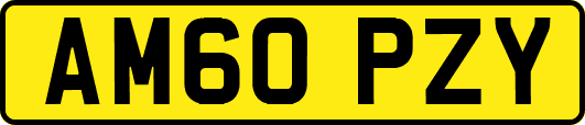 AM60PZY