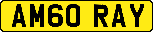 AM60RAY