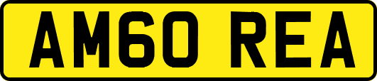 AM60REA