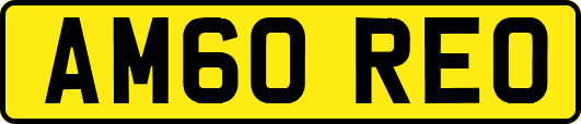 AM60REO
