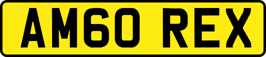 AM60REX