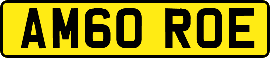 AM60ROE
