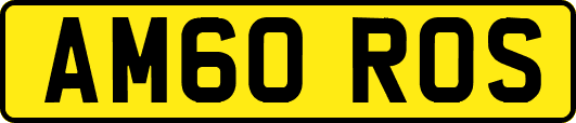 AM60ROS