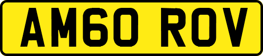 AM60ROV
