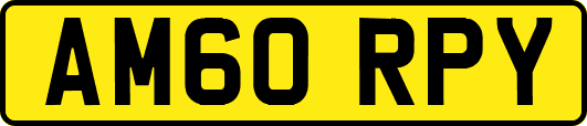 AM60RPY