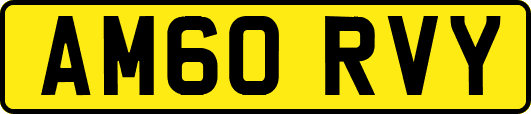 AM60RVY