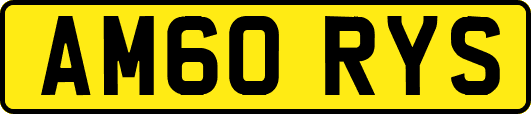AM60RYS