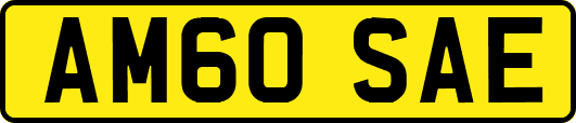 AM60SAE