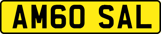 AM60SAL