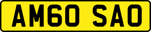 AM60SAO