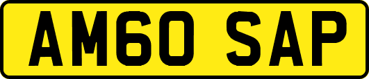 AM60SAP