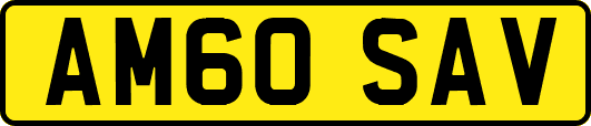 AM60SAV