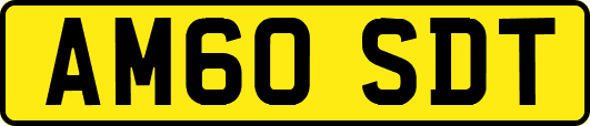 AM60SDT