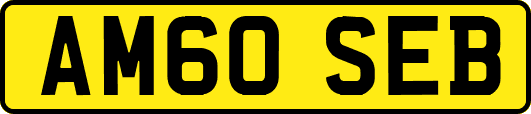 AM60SEB