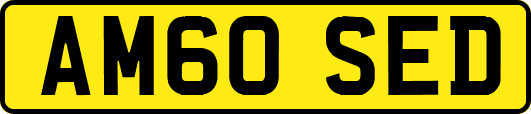 AM60SED