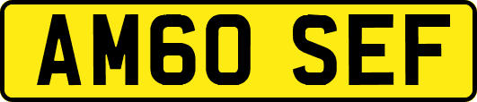 AM60SEF