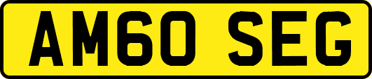 AM60SEG