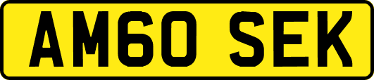 AM60SEK
