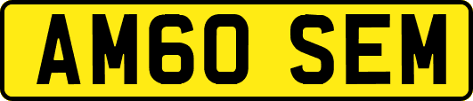 AM60SEM