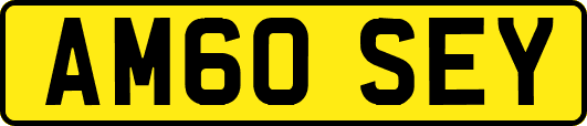 AM60SEY