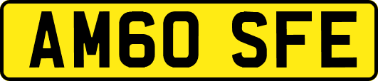 AM60SFE