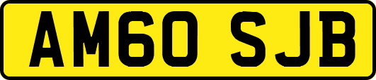AM60SJB