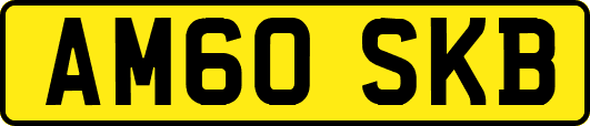 AM60SKB
