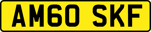 AM60SKF