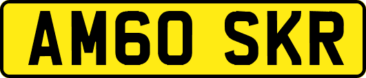 AM60SKR