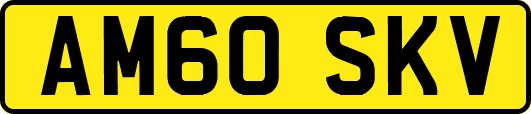 AM60SKV