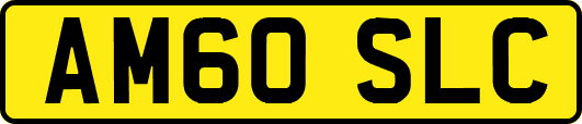 AM60SLC