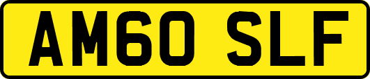 AM60SLF