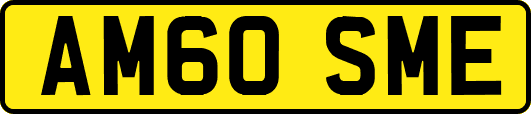 AM60SME