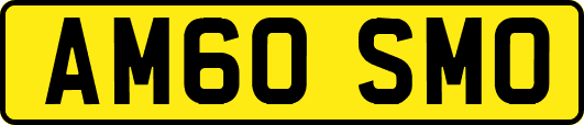 AM60SMO