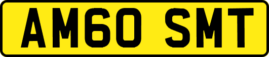 AM60SMT
