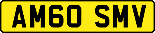 AM60SMV