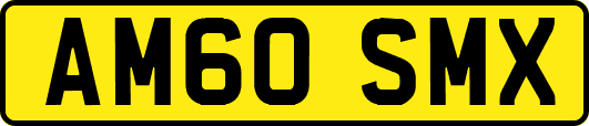 AM60SMX