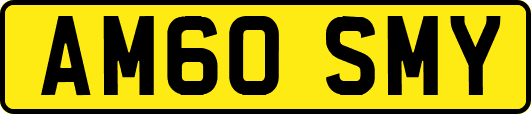 AM60SMY