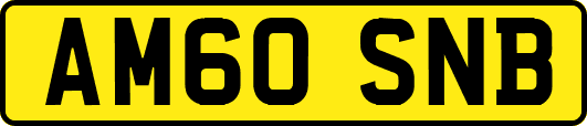 AM60SNB