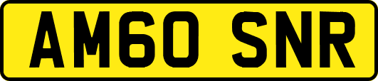 AM60SNR