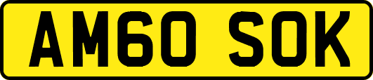 AM60SOK