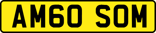 AM60SOM