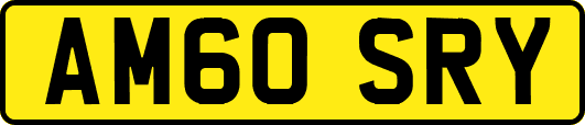 AM60SRY