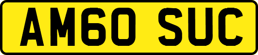 AM60SUC