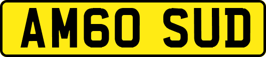 AM60SUD